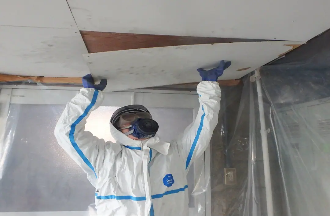 アスベスト除去工事画像