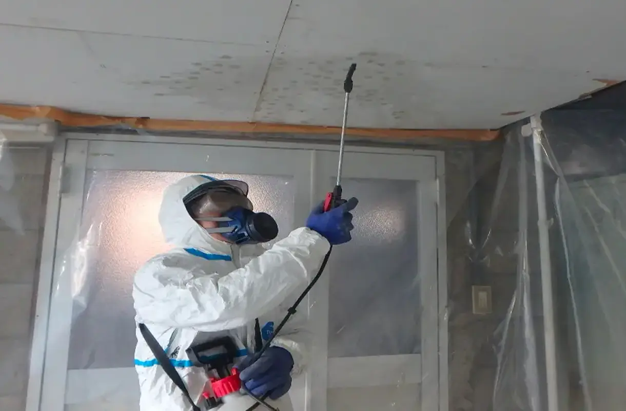 アスベスト除去工事画像